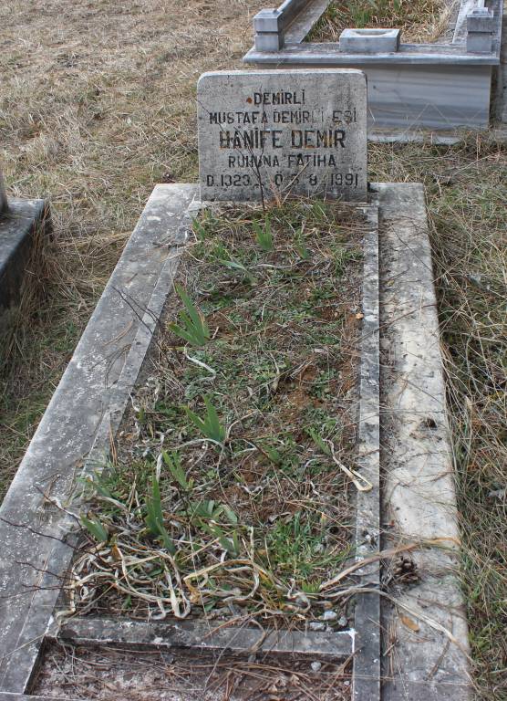 Hanife Demir