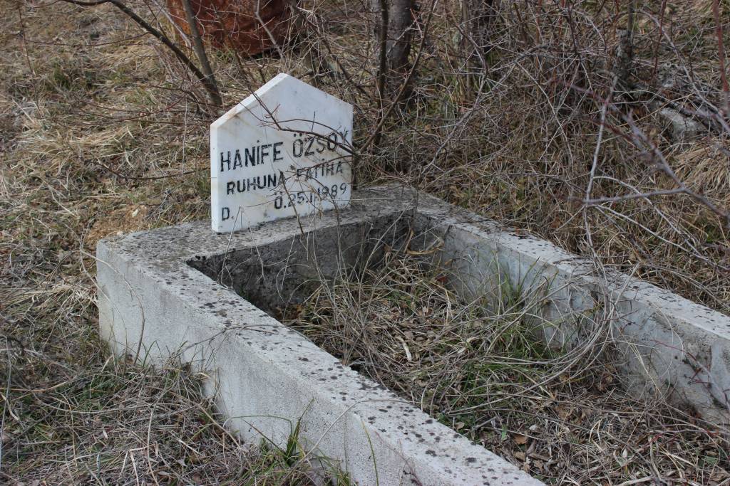 Hanife Özsoy