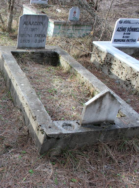 Alaaddin Yildirim