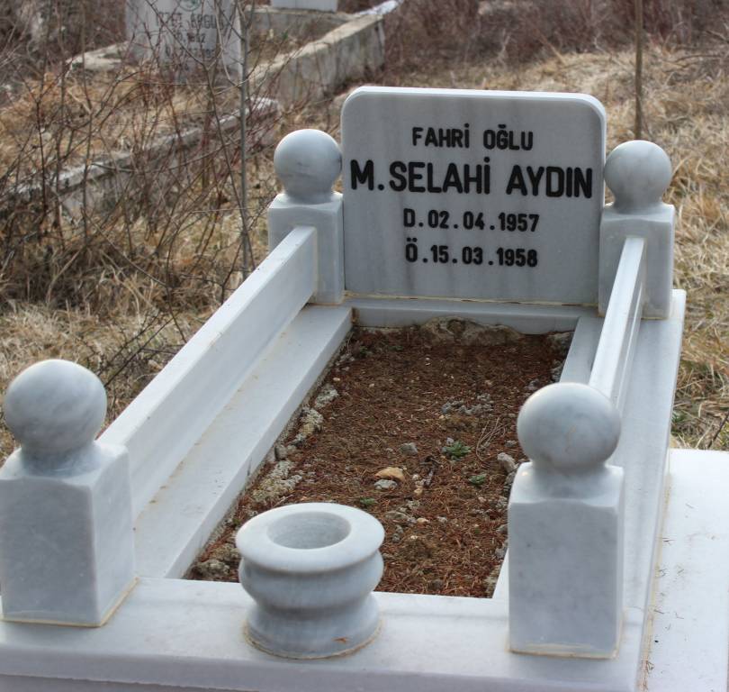 M. Selahi Aydın
