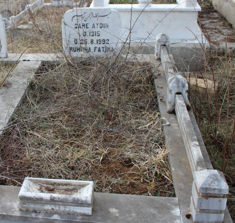 Sare Aydın