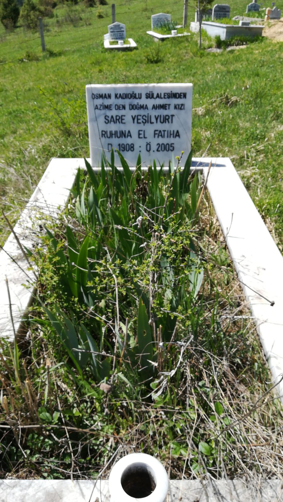 Sare Yeşilyurt