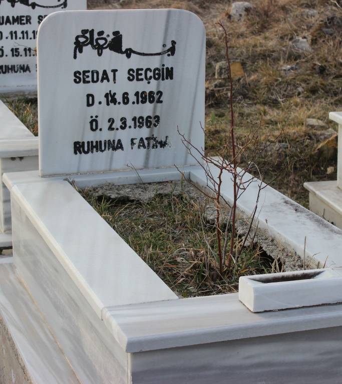 Sedat Seçgin