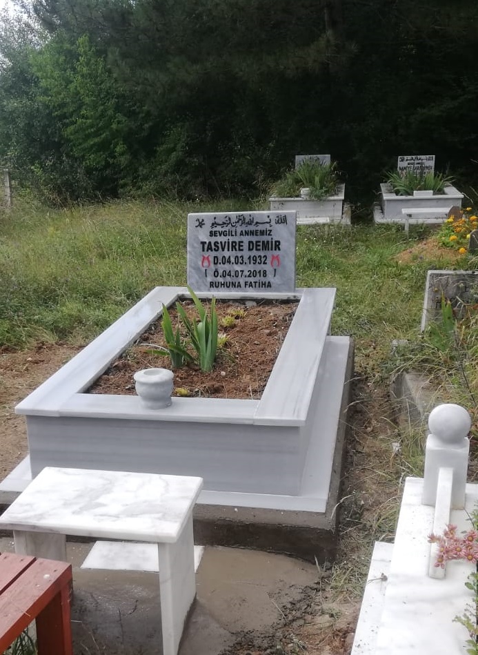 Tasvire Demir