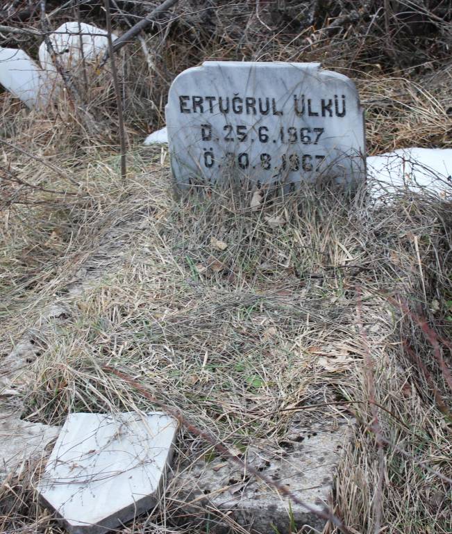 Ertuğrul Ülkü